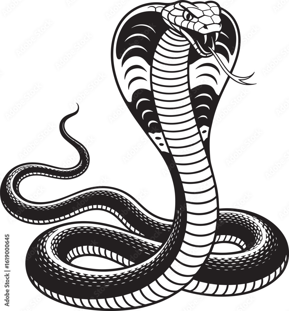 Fototapeta premium Detailed Cobra Snake Illustration with Intricate Scale Patterns Vector Graphic Design