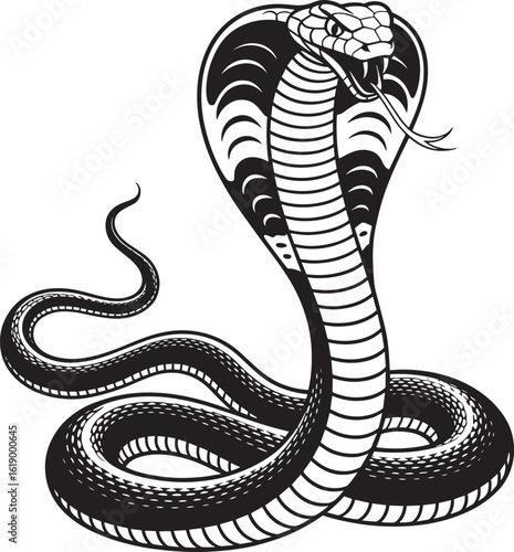 Detailed Cobra Snake Illustration with Intricate Scale Patterns Vector Graphic Design