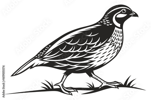 bird on a branch