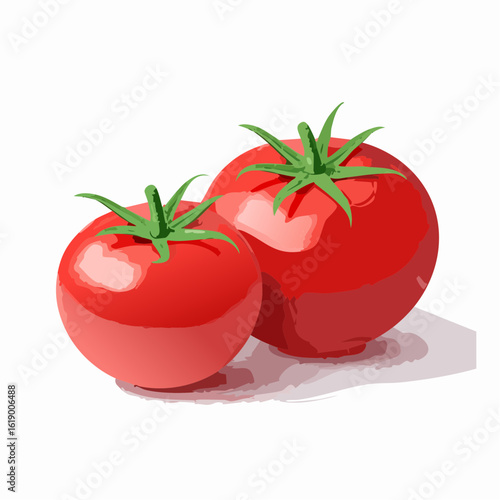3 jolies tomates rondes en gros plan, arrière plan blanc, illustration