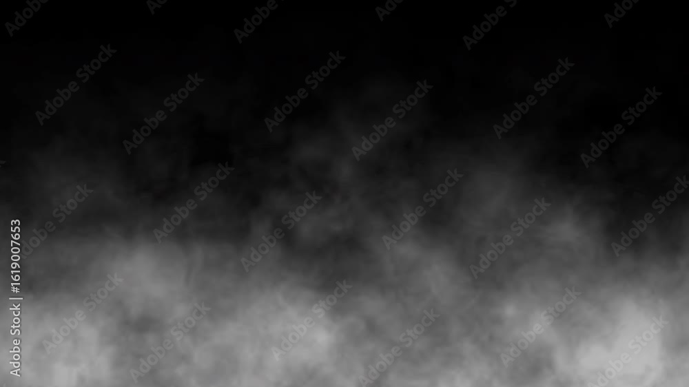 Moving white smoke on black background. Slow motion of steam rising up. White fog motion graphic on dark background. smoke in white color, mist. 4k seamless looping video