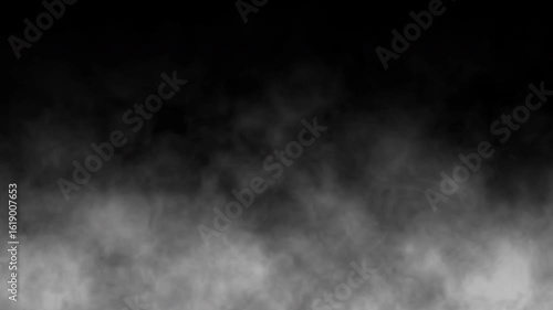 Moving white smoke on black background. Slow motion of steam rising up. White fog motion graphic on dark background. smoke in white color, mist. 4k seamless looping video