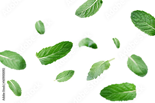 Flying Mint Leaves isolated on a transparent background