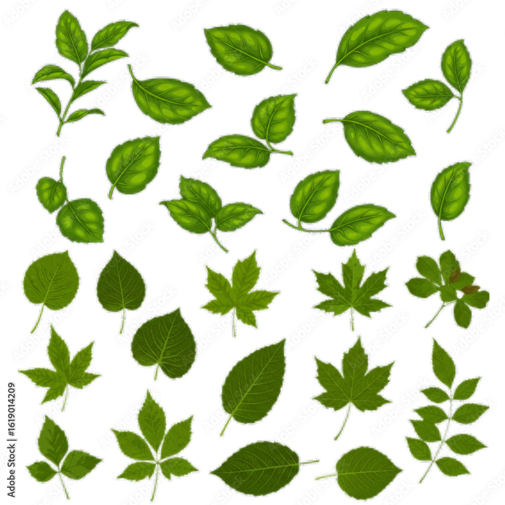 Vibrant collection of assorted green leaves, perfect for nature designs, seasons, and botany projects. Vibrant collection of assorted green leaves, perfect for nature designs, seasons, and botany projects.