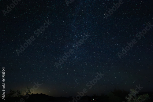 Joshua Tree Night Sky 