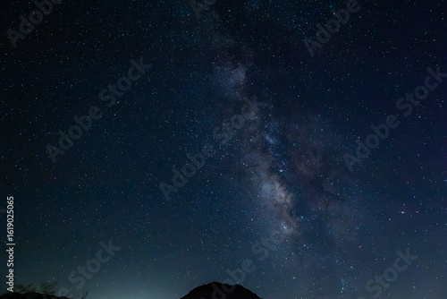 Joshua Tree Night Sky 