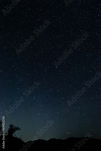 Joshua Tree Night Sky 