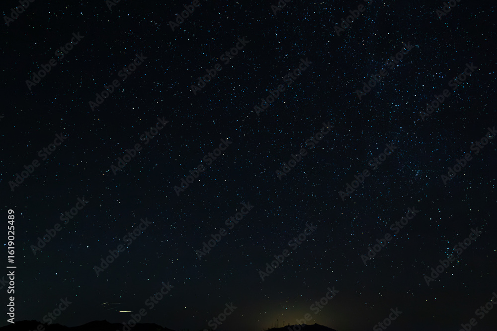 Obraz premium Joshua Tree Night Sky 