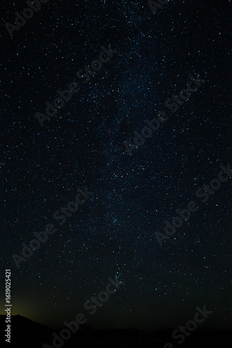 Joshua Tree Night Sky 