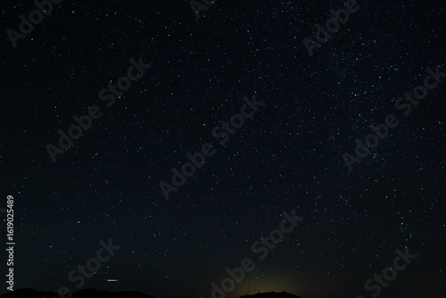 Joshua Tree Night Sky 