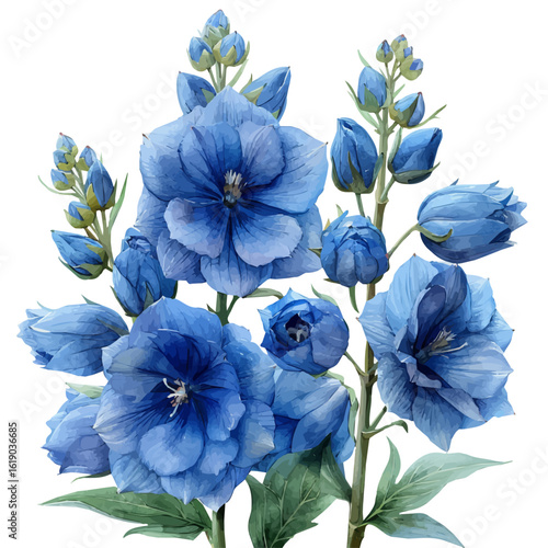 Delphinium Flower, watercolor vector, isolated on a white background.