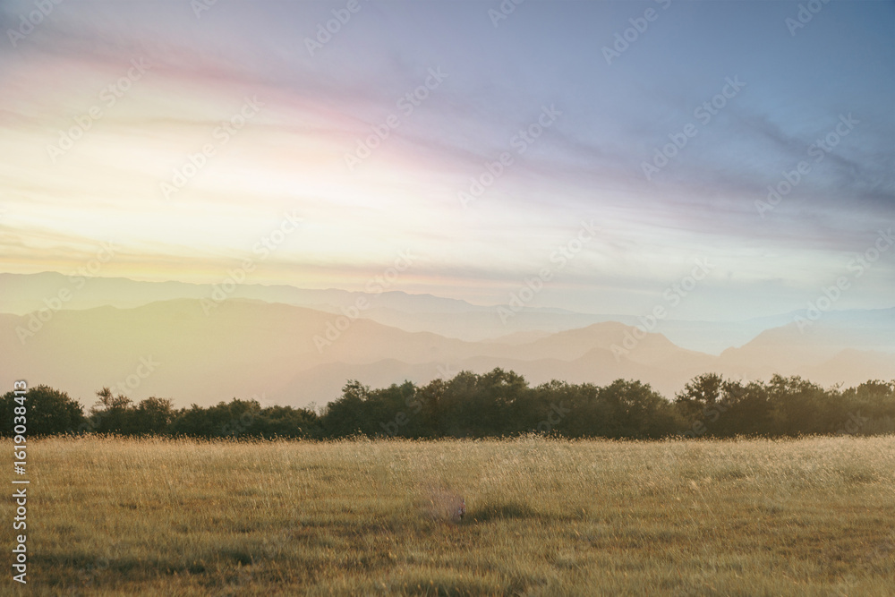 Obraz premium Sandy plain under bright clear blue sky