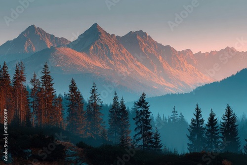 Fototapeta Naklejka Na Ścianę i Meble -  Scenic view of Tatra Mountains at dusk with forests in the foreground and warm sunlight hitting the peaks in late evening
