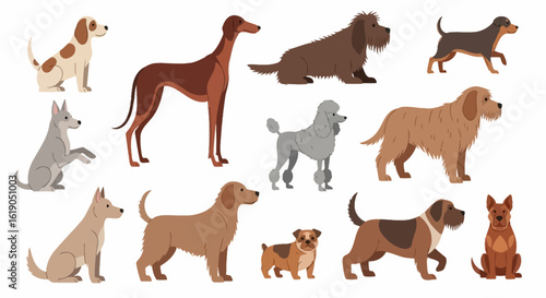 A diverse collection of canine companions. Set of different domestic dogs and purebred pets in a modern high-definition vector style.