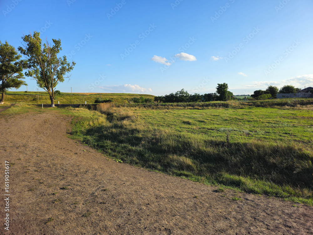 Fototapeta premium A dirt road with grass and trees