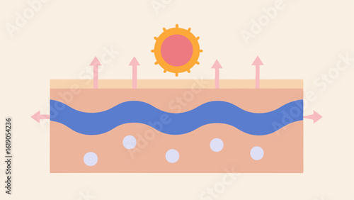 Enhanced Skin Barrier An illustration that shows the skin barrier getting stronger with an emphasis on small changes in the skin surface illustrating improved barrier function.