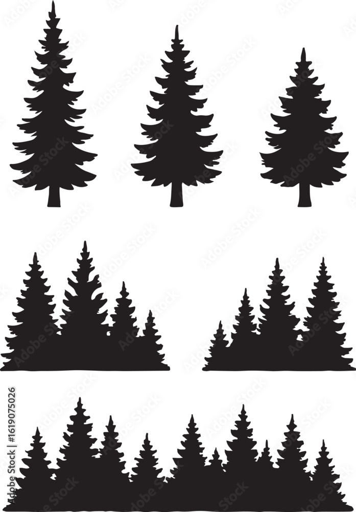 Fototapeta premium A vector illustration of set of evergreen coniferous forest trees silhouette isolated on white background for design
