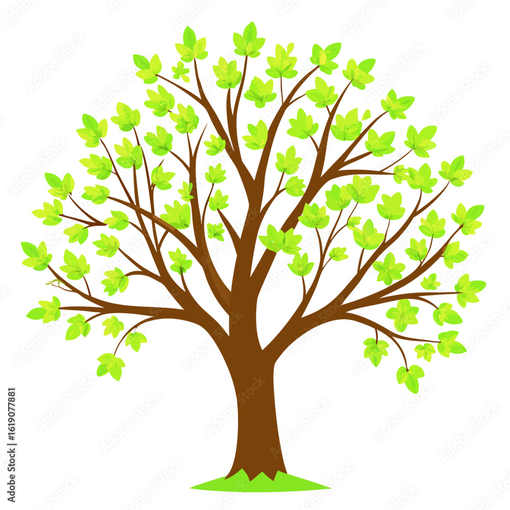 Obraz premium green tree vector illustration