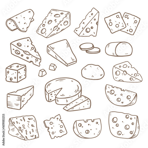 Cheese in sketch style, black and white illustration. Slice of cheese isolated on white. Different types of cheese. Food Vector illustration