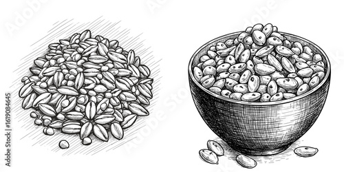 Freekeh Grains in Bowl and Scattered Sketch. Monochrome vector line art, healthy ancient cereal, organic food concept. For culinary blogs, grocery promotions, diet guides