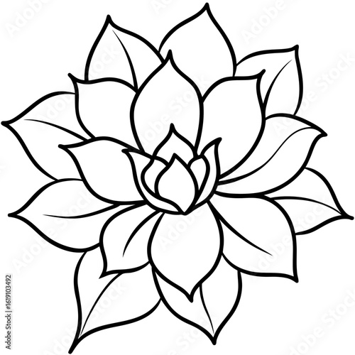 Floral Elegance