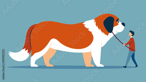 A giant dog resembling a fluffy Saint Bernard is straining forward demonstrating its immense size compared to a tiny narrow leash. The leash visibly stretched is held in the hand