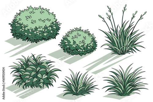 Five green plants with shadows on white background