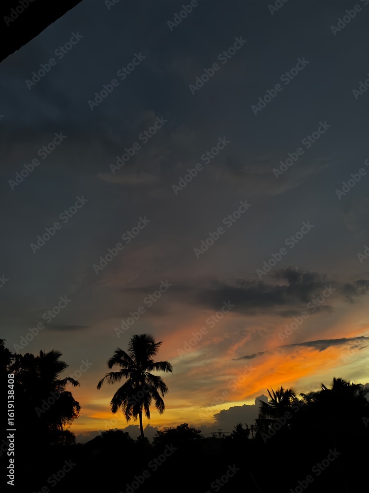 Fototapeta premium palm tree sunset