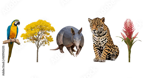 Amazonian biodiversity with parrot, yellow tree, armadillo, jaguar, and flower.