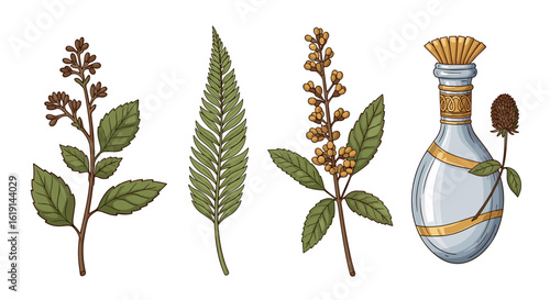 Botanical elements, herbalism, and a vintage apothecary glass bottle