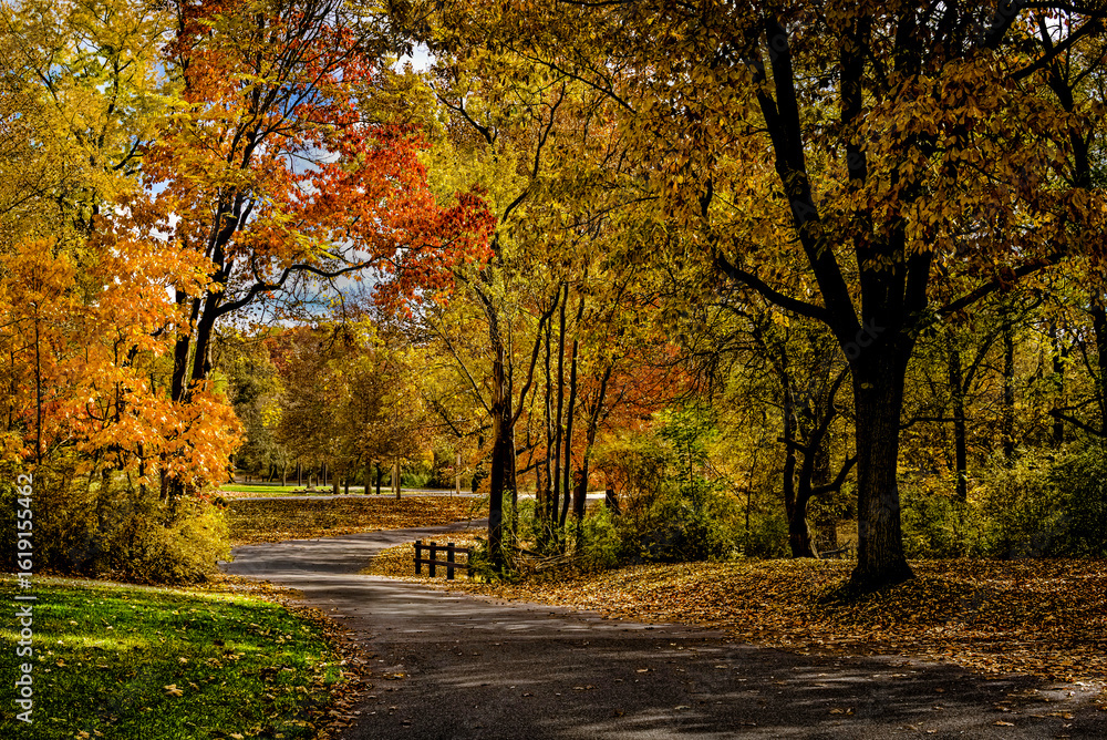 Naklejka premium Beautiful golden autumn with a multi colors.