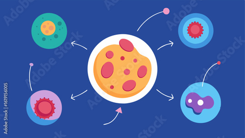 Cell Regeneration Cycle An animatedstyle illustration of skin cell regeneration showing cells multiplying and migrating into treated areas while highlighting exosomes.