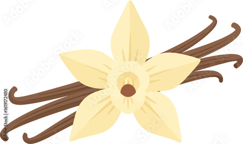 Illustration of a vanilla flower with five petals next to several vanilla beans on a white background.