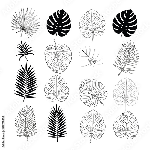Vector art of a diverse collection of tropical palm and monstera leaves in black and white outlines
