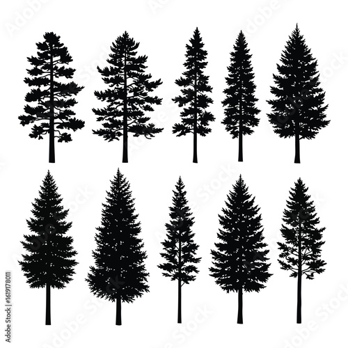 Vector art of a collection of black and white silhouette icons of various evergreen trees