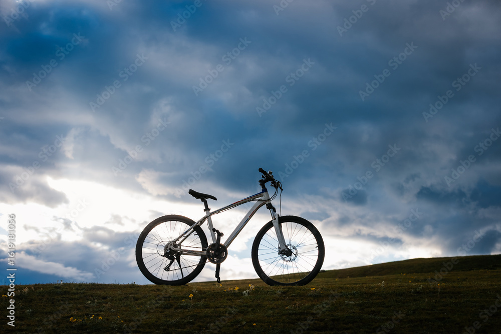 mountain bike on flowering grassland mountain top mountain bike on flowering grassland mountain top
