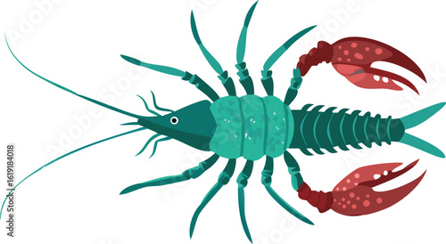 crayfish food isolated animal seafood