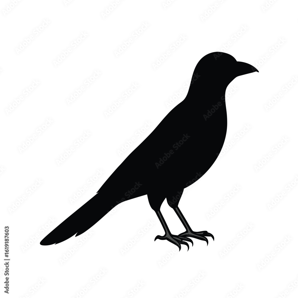 Fototapeta premium magpie-silhouette-on-white-background