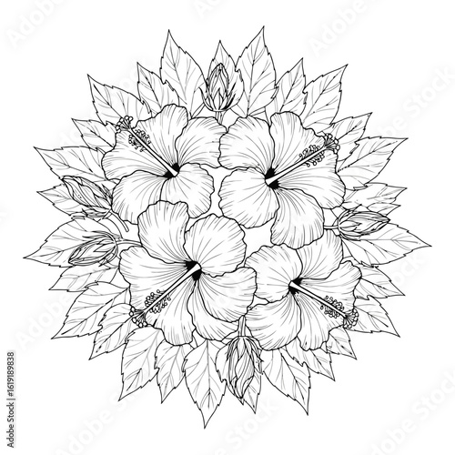 Vector art of a detailed black and white illustration of a circular arrangement of hibiscus flowers and leaves