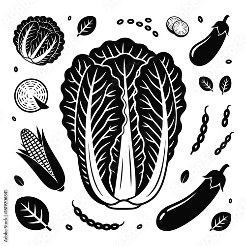 Variety of fresh vegetables including napa cabbage eggplant corn beans spinach and cabbage