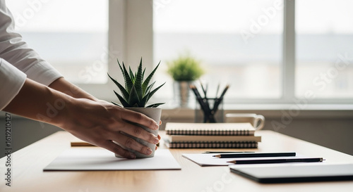 Person carefully placing a small succulent plant in a pot onto a desk amongst office supplies near a window.