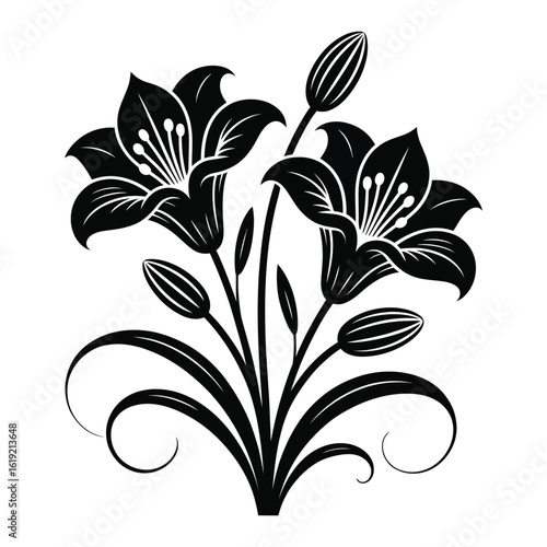 Elegant black and white floral illustration of lily flowers and buds