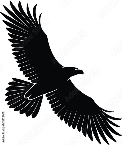 Black eagle soaring with wings spread wide bird flight