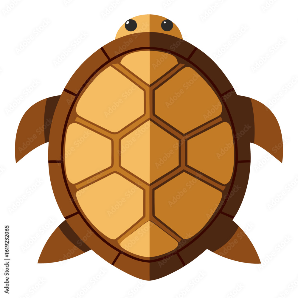 Obraz premium a turtle viewed from above no background vector file.
