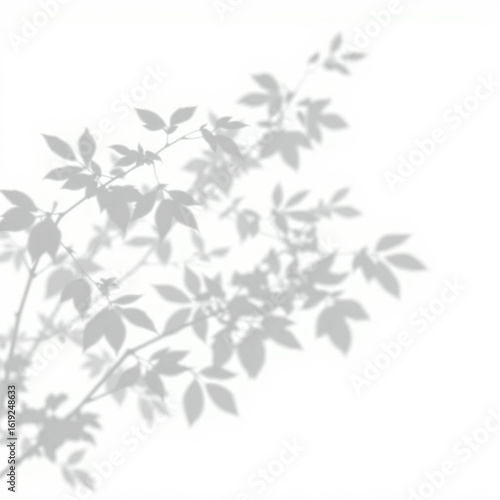 Wallpaper Mural shadow overlay effect. Gray shadow of leaves isolated on white background. Plant foliage leaf shadow light effect. 
Mockup Blurred tree branch shadow. Ideal for summer spring design elements PNG Torontodigital.ca