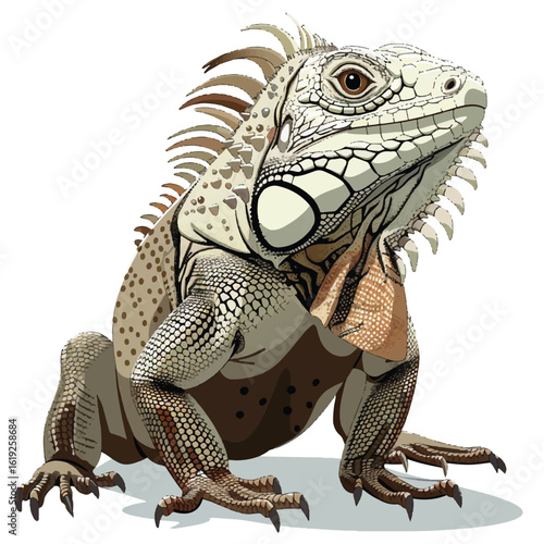 Detailed Illustration of a Green Iguana Poised and Alert (1)