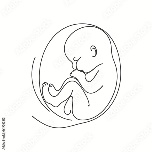 Fetus in the womb depicted in minimalist line art style  