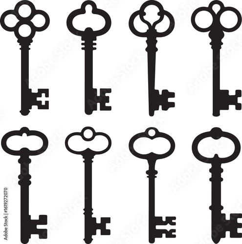 Antique skeleton keys ornate vintage designs vector