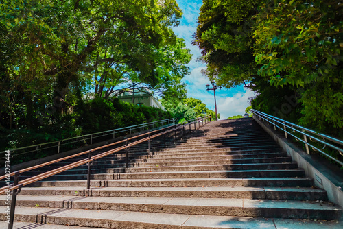 Photography The view of Ueno Park in Tokyo