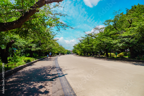 The view of Ueno Park in Tokyo